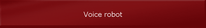 Voice robot